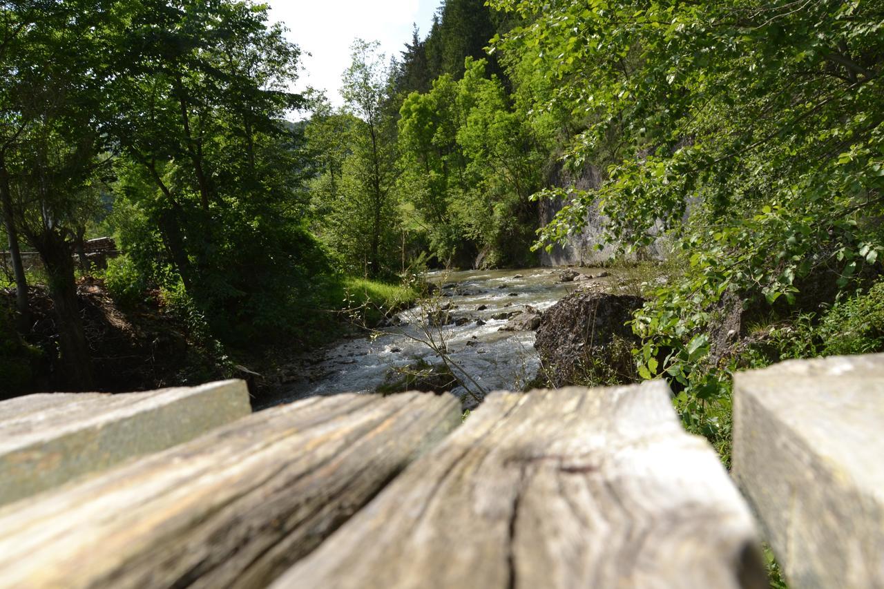 Gospodaria Lui Nea Ion Vama Buzaului Bagian luar foto