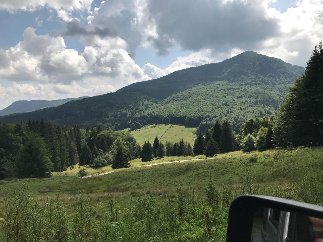 Gospodaria Lui Nea Ion Vama Buzaului Bagian luar foto